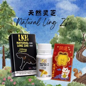 野生灵芝+5